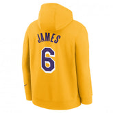 NBA Nike Kids LA Lakers Lebron James